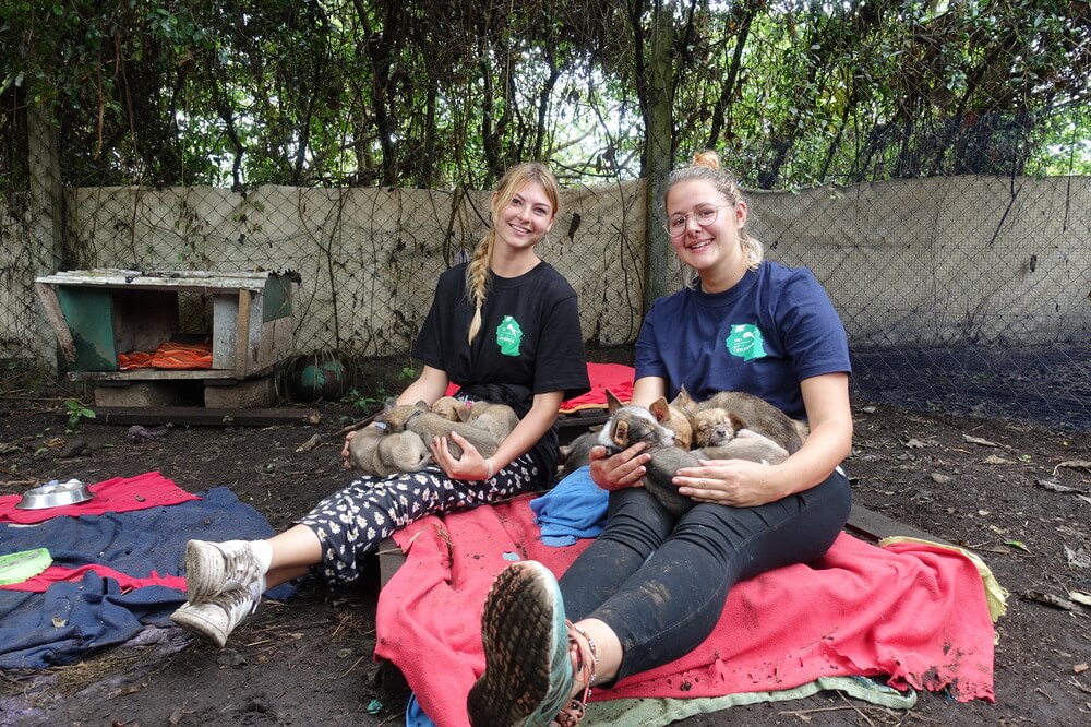 dog shelter Viva Tanzania