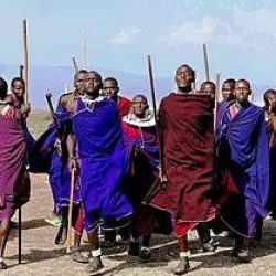 Visit Maasai communities in Tanzania