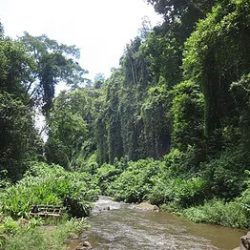 Napuru Waterfall day trip
