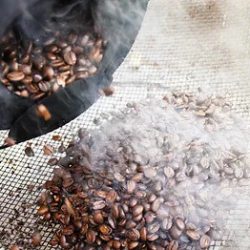 Roasting Coffee day trip