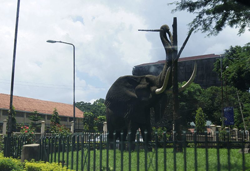 Arusha Tanzania elephant