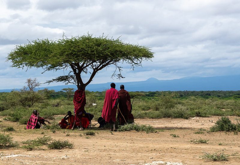 day trips Tanzania Daketi