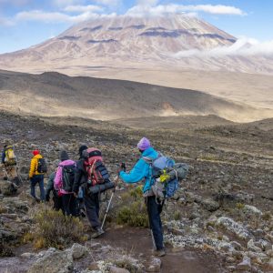 Climb Kilimanjaro: Marangu Route